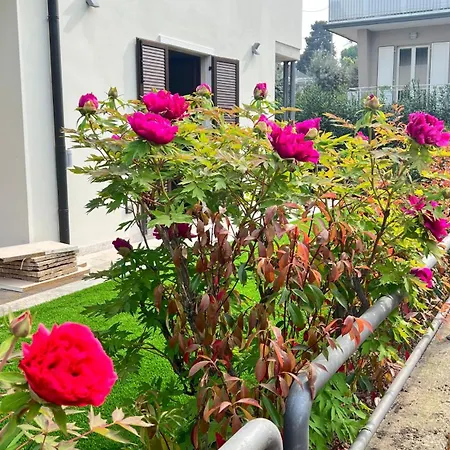Ai Fiori بيت ضيافة بسكييرا ديل غاردا