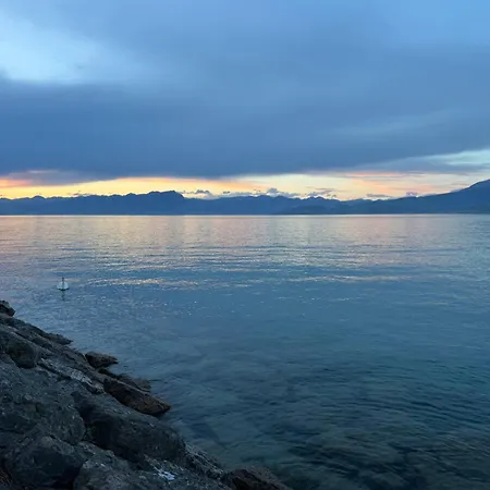 Ai Fiori Peschiera del Garda