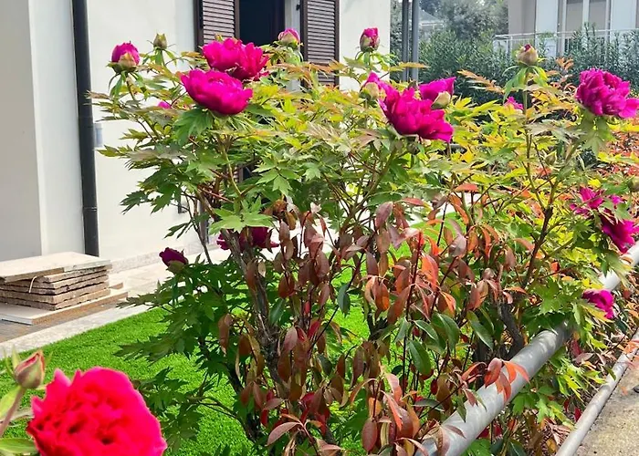 Ai Fiori Casa de hóspedes Peschiera del Garda